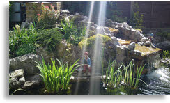 Keith Pyne Property Maintenance water fall